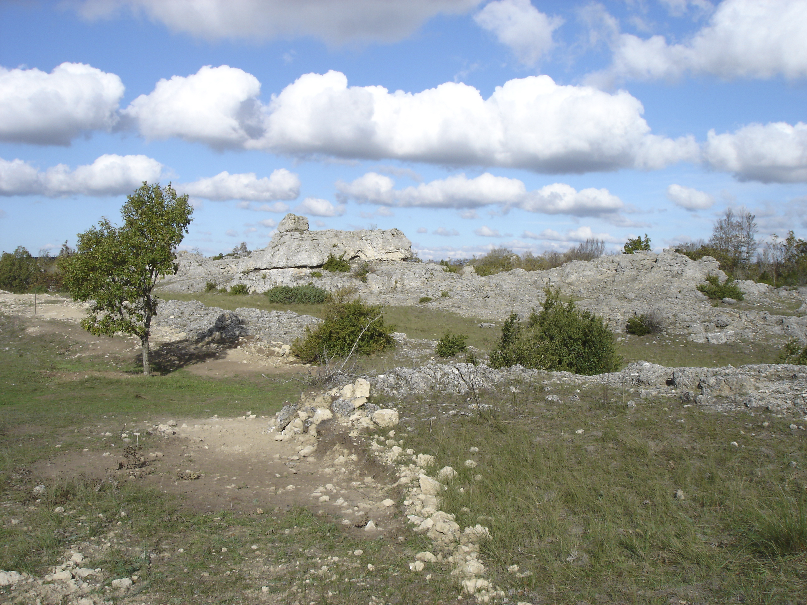 Paysage calcaire du Larzac